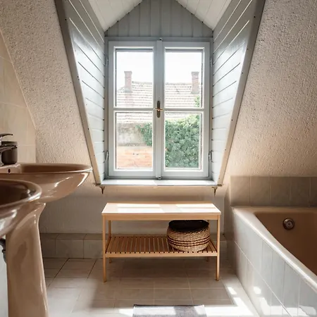 Zelna 巴拉顿菲赖德