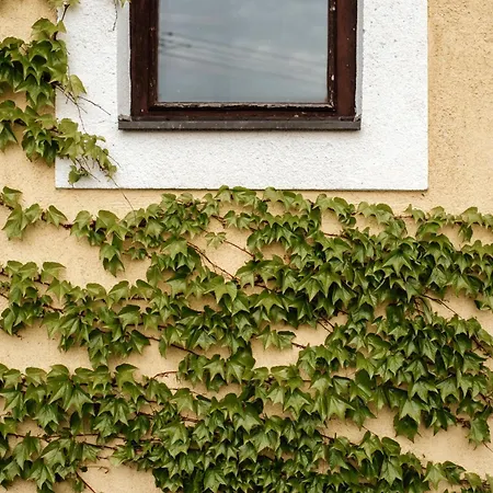 Voelgy-ucca Apartment *